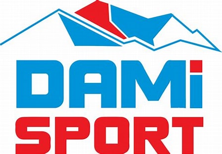 dami sport